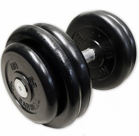 гантель 26 кг mb barbell mb-fdbm-b26