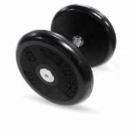 гантель классик с вращающейся ручкой хром 12 кг mb barbell mb-fdbem-b12